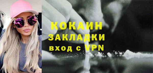 гидра Коряжма