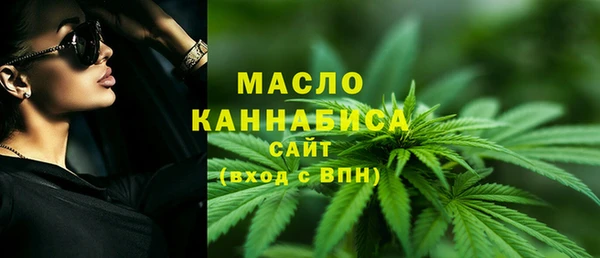 гидра Коряжма