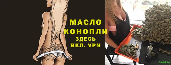 гидра Коряжма