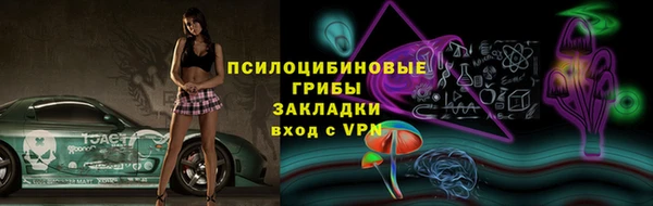 стаф Костерёво
