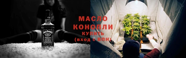 гидра Коряжма