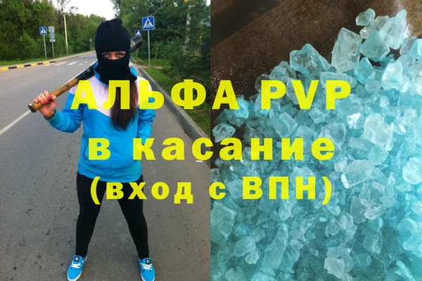 гидра Коряжма