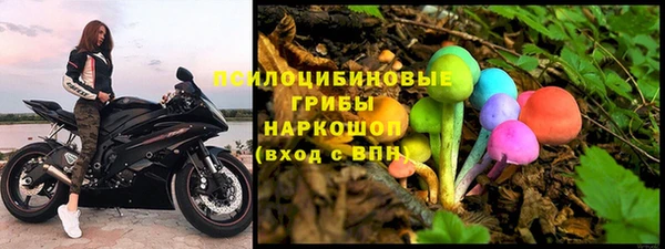 a pvp Корсаков