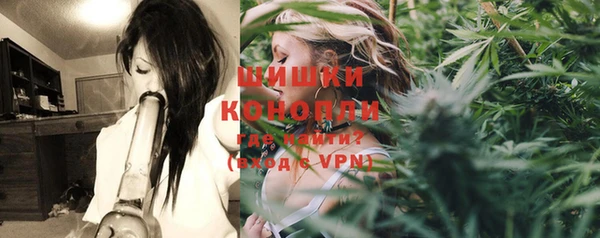 гидра Коряжма