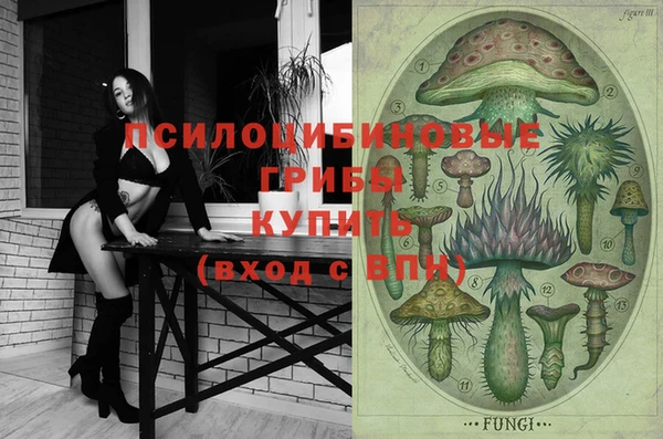 стаф Костерёво