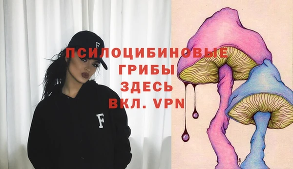 гидра Коряжма