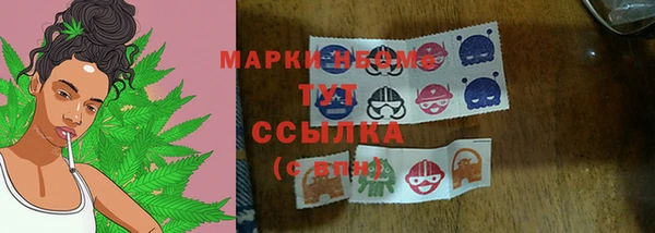гидра Коряжма